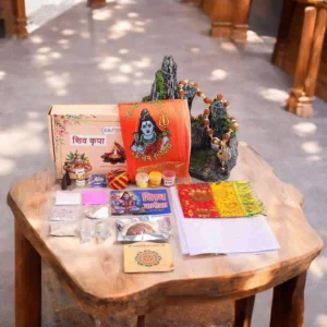Shiv Kripa Pujan Kit with Vedic Shivling and Rudraksha by Clickpujan